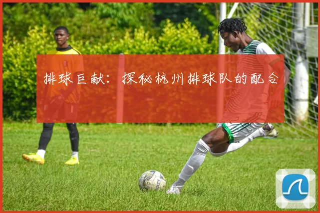 排球巨献：探秘杭州排球队的配合