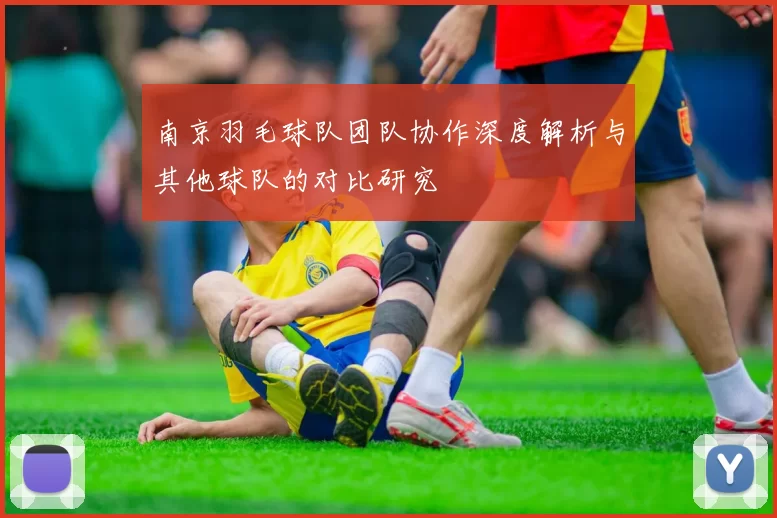 南京羽毛球队团队协作深度解析与其他球队的对比研究