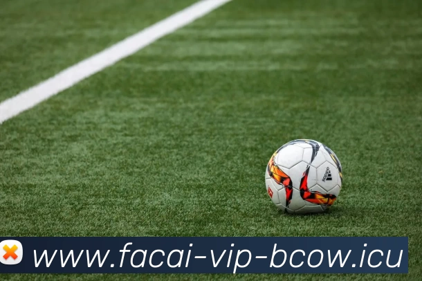 华体会体育APP 封面图